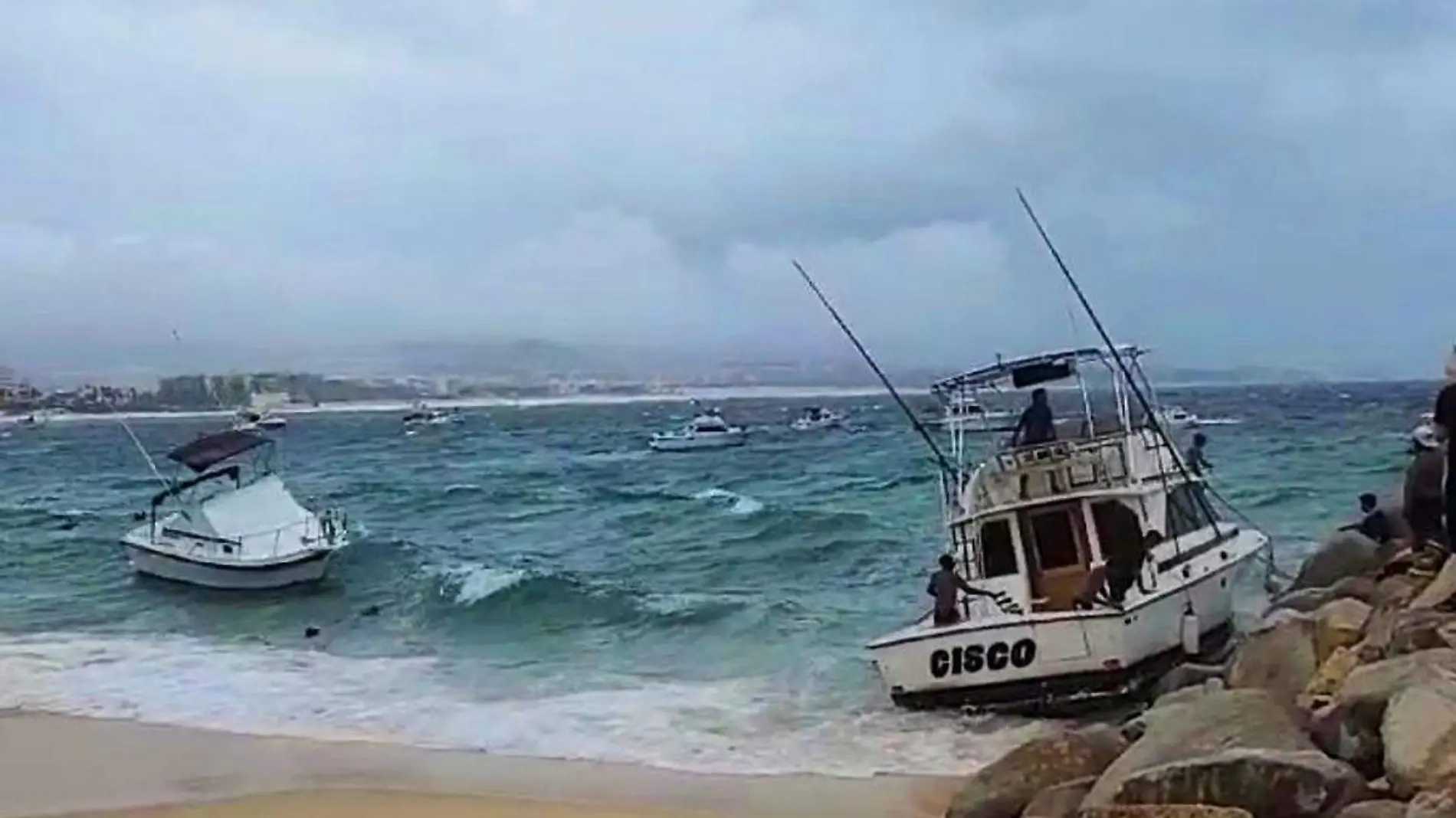 Barcos barados olejae los cabos